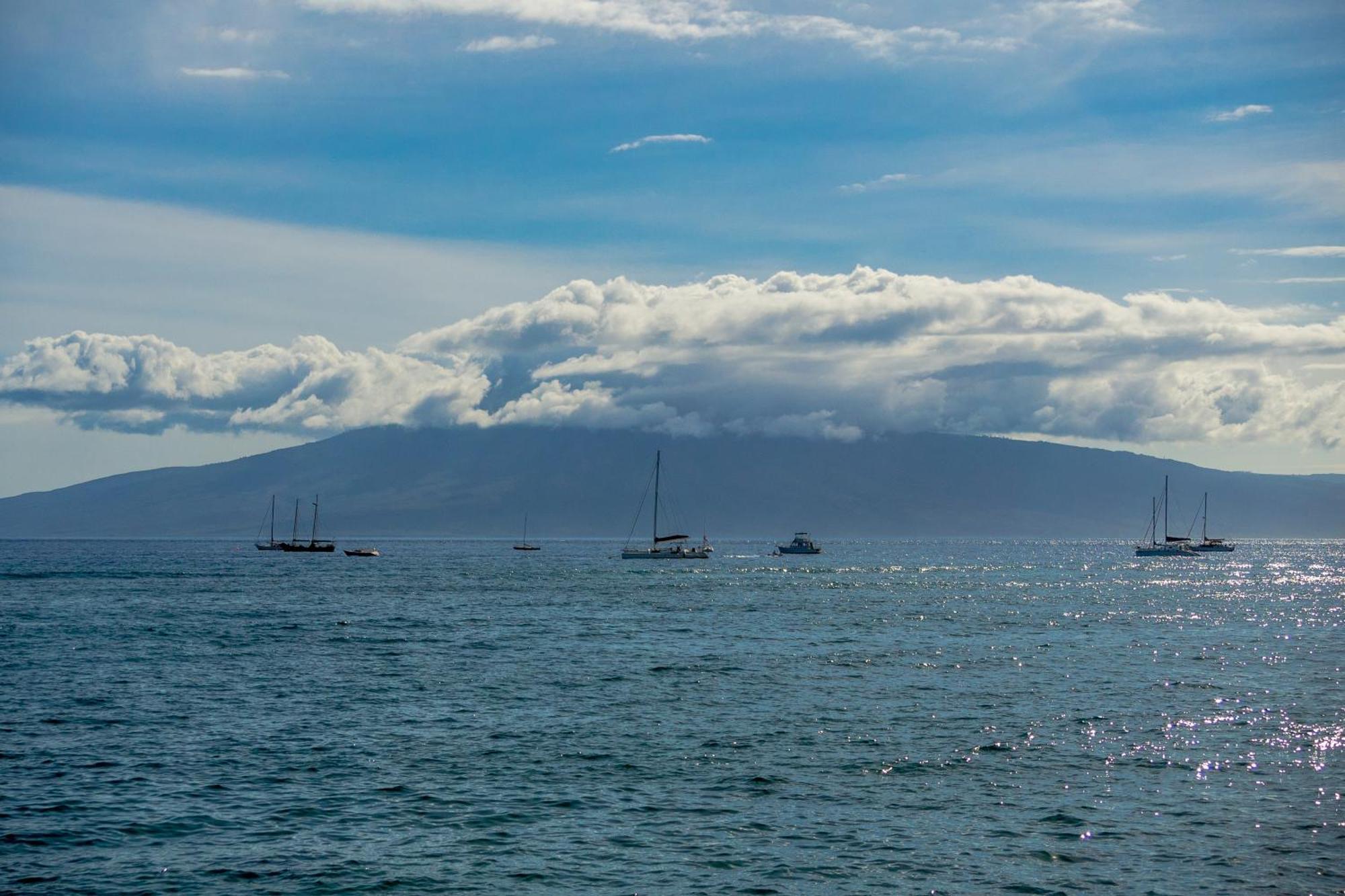 Paki Maui 222 Daire Napili-Honokowai Oda fotoğraf