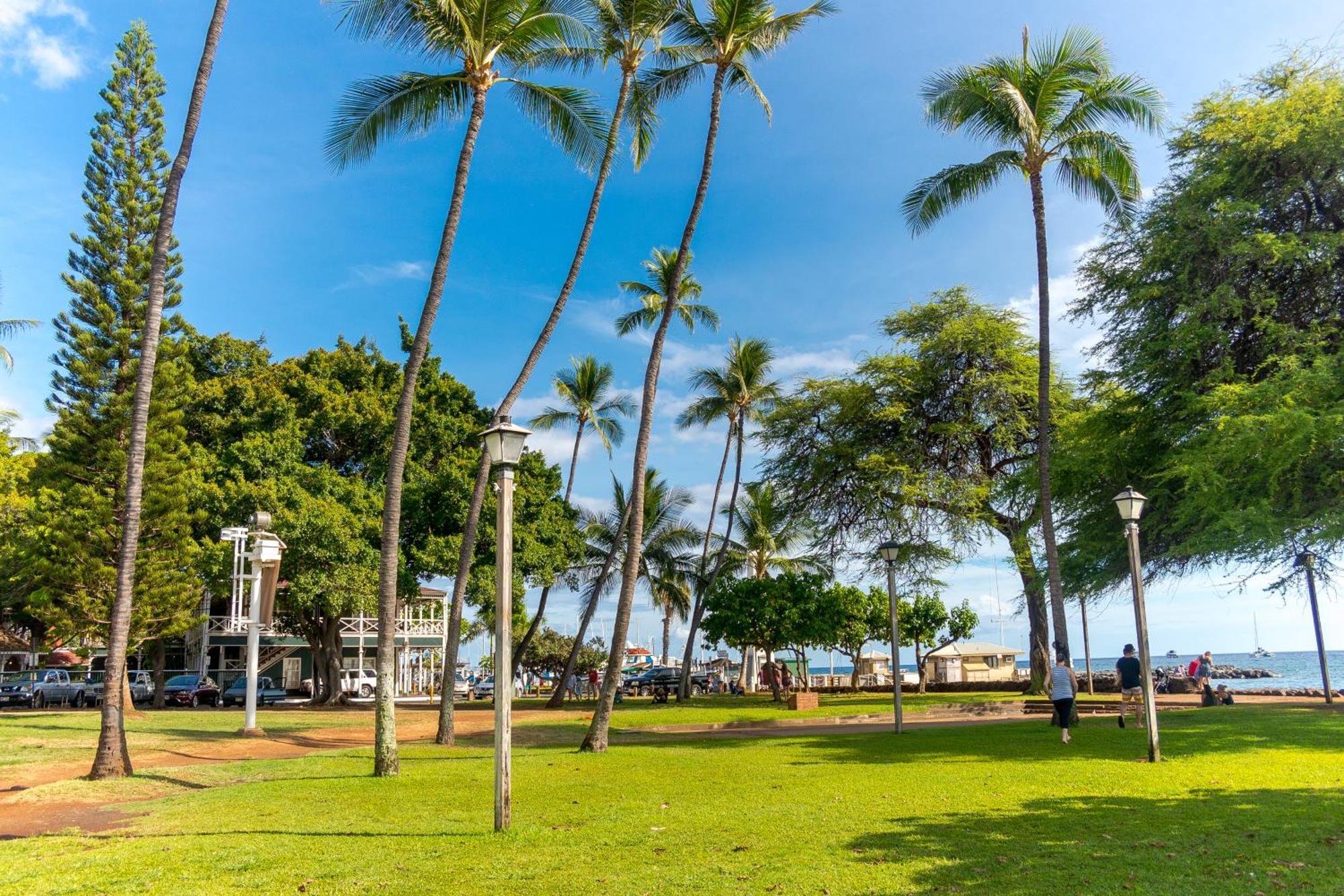 Paki Maui 222 Daire Napili-Honokowai Oda fotoğraf